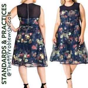 Standards & Practices Angel Floral Mesh Chiffon A-line Zip Back Dress
